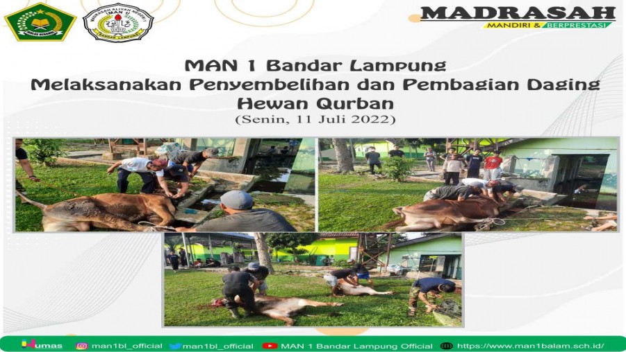 Rayakan Idul Adha 1443 H, MAN 1 Bandar Lampung Sembelih Hewan Kurban